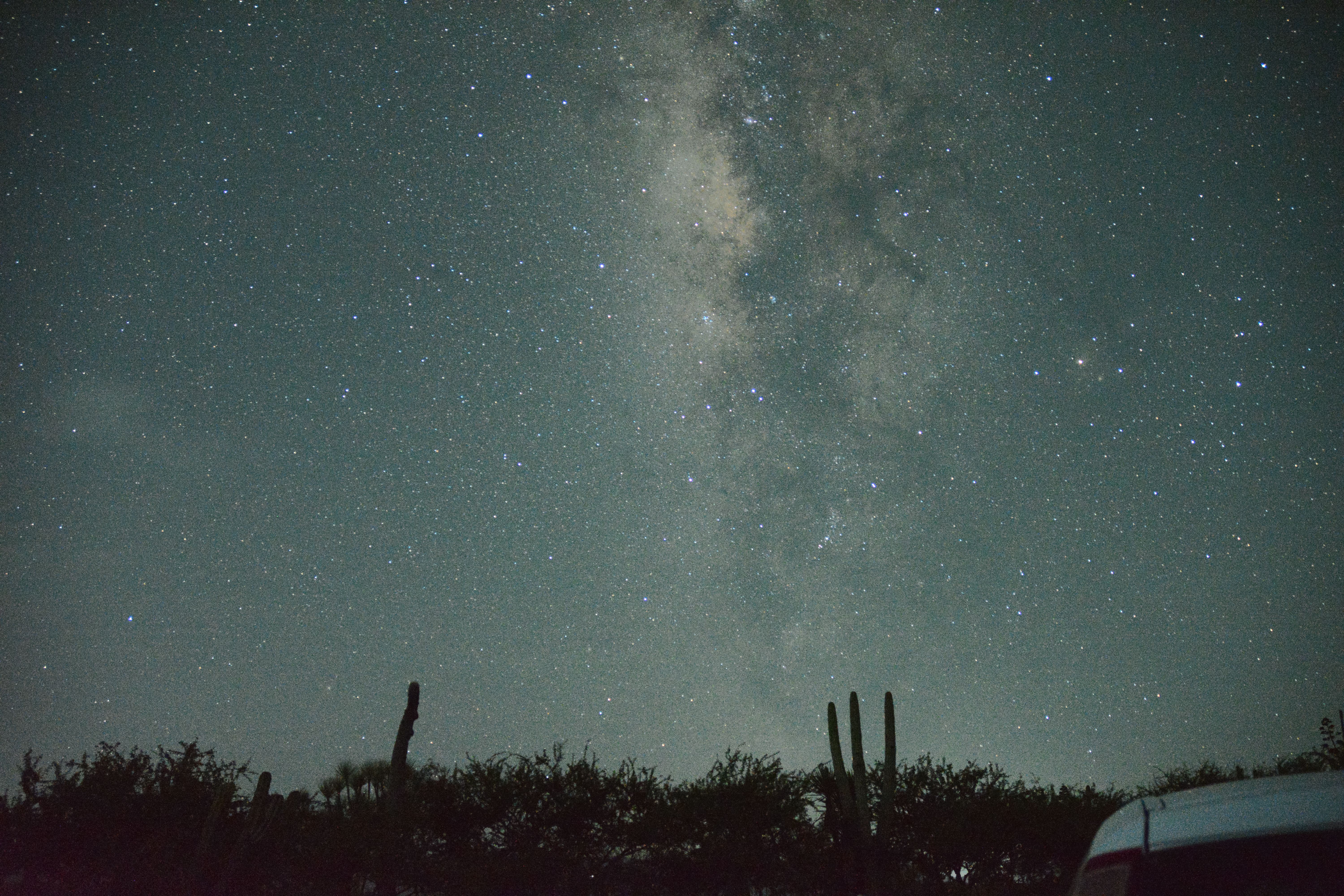 In-Park Campgrounds