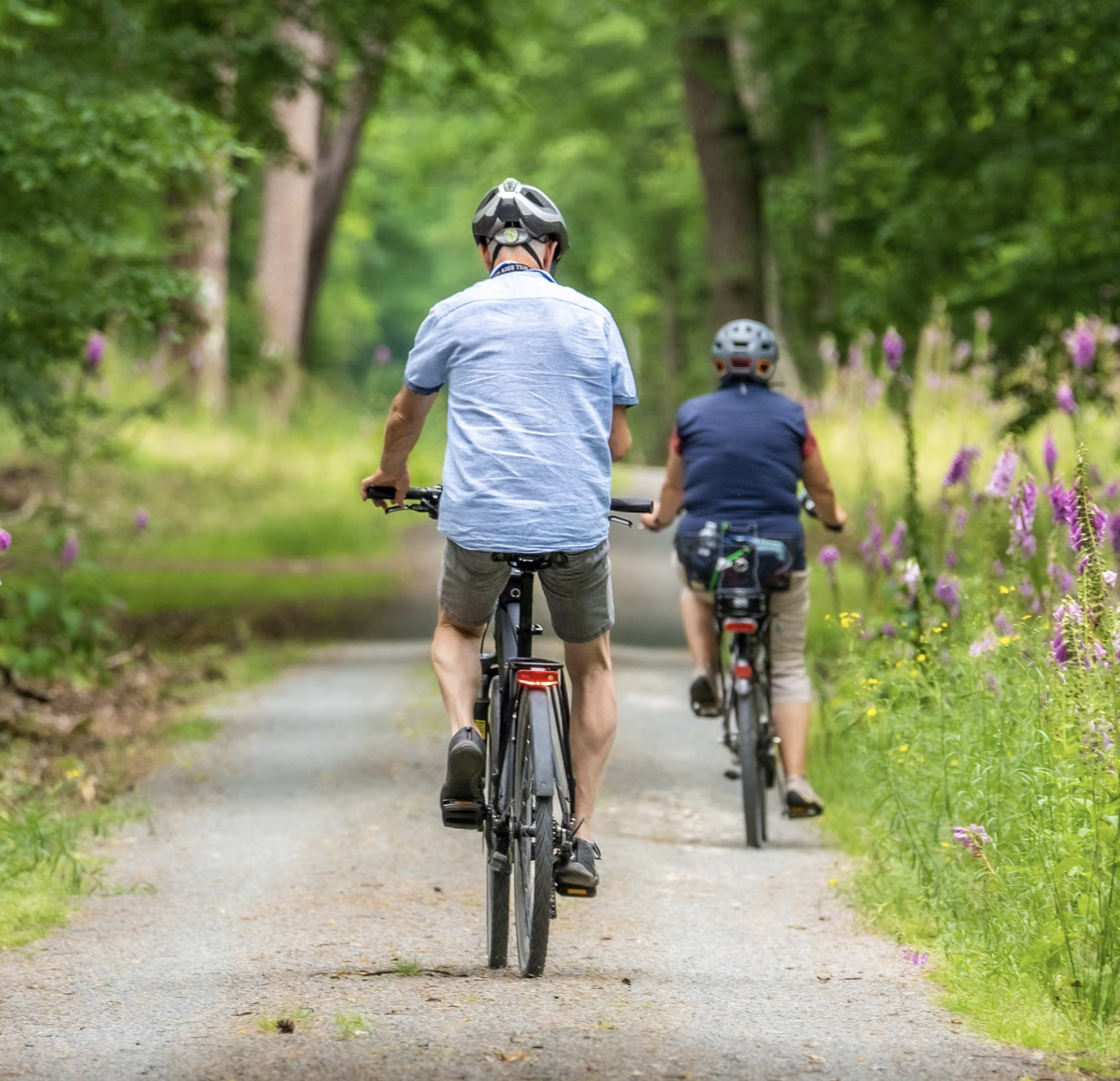 Bike Ride