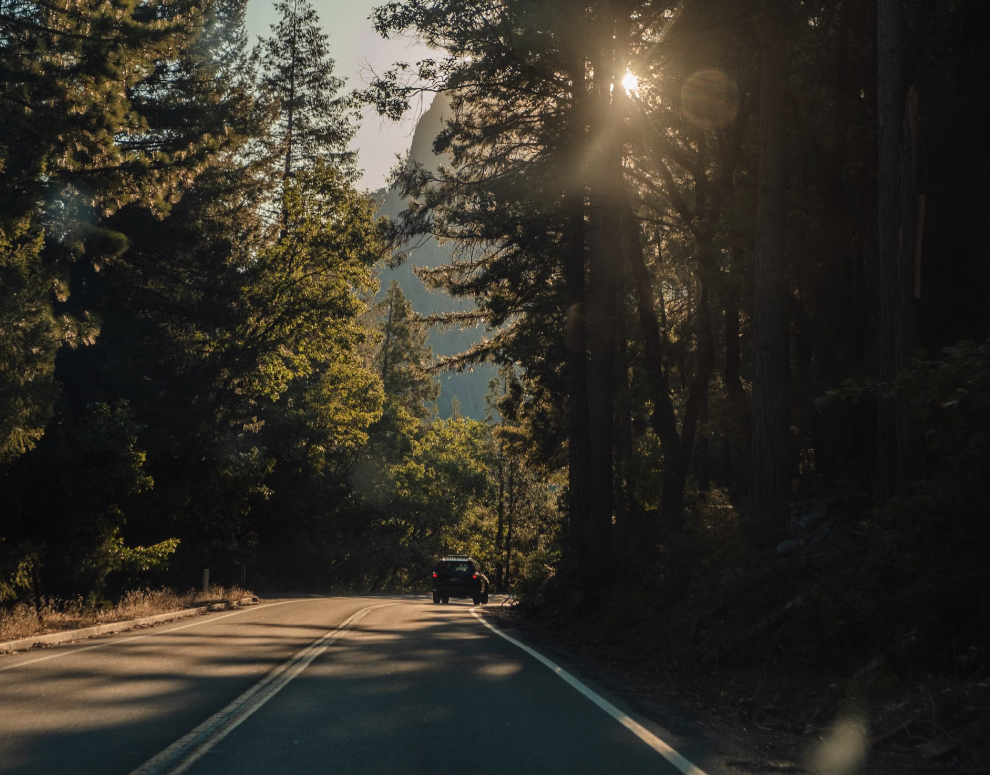 Scenic Drive